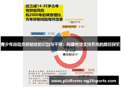 青少年运动员抑郁症的识别与干预：构建有效支持系统的路径探索